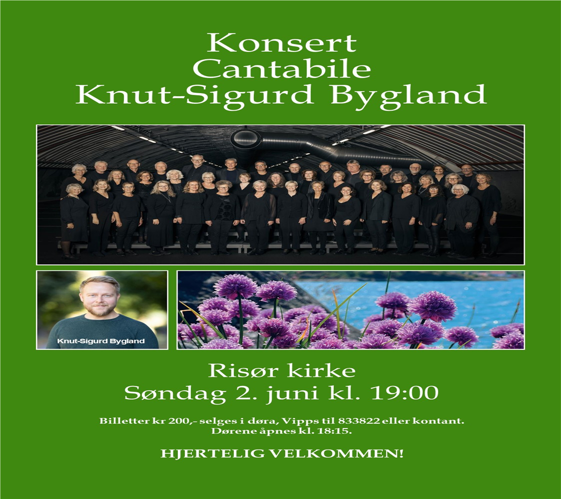 Plakat sommerkonsert 2024 Knut Sigurd 2.juni BRUKES