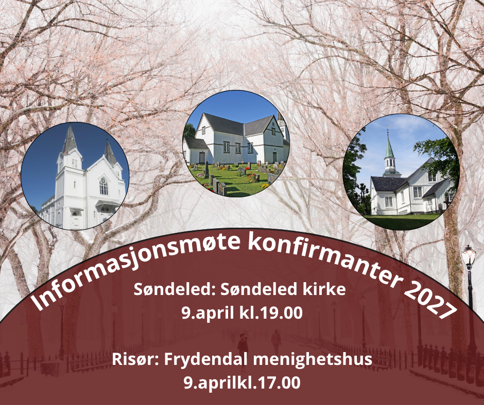 Visitasgudstjeneste i Risør kirke (1)